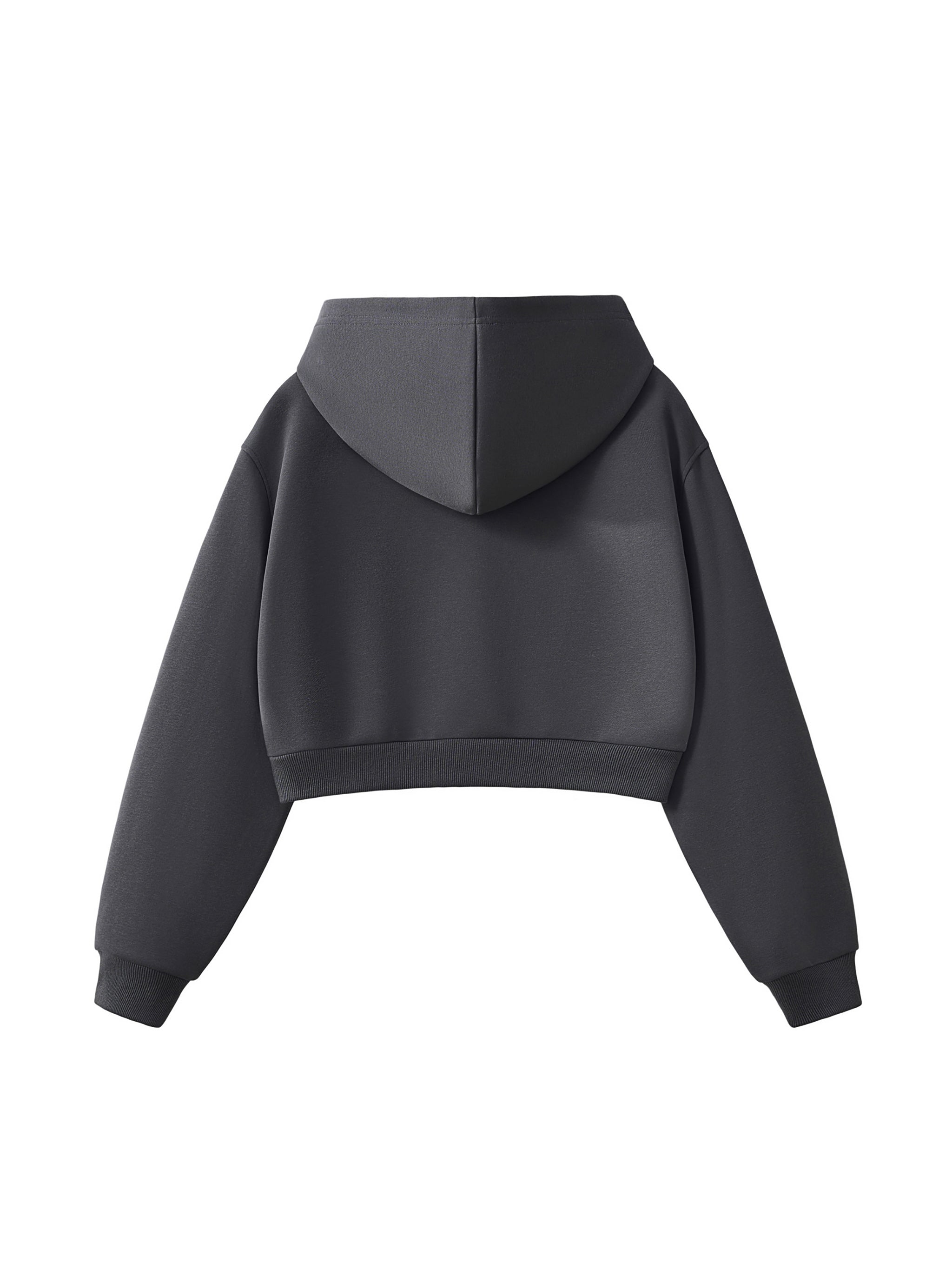Balenciaga x ARK Cropped Hoodie