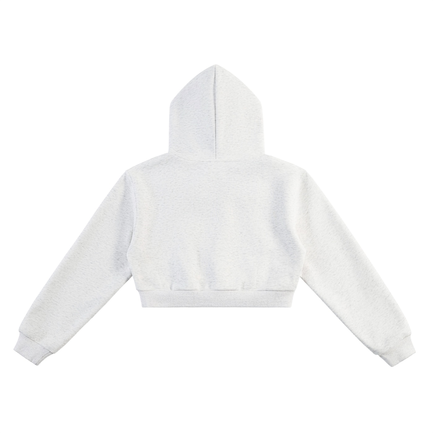 Balenciaga x ARK Cropped Hoodie