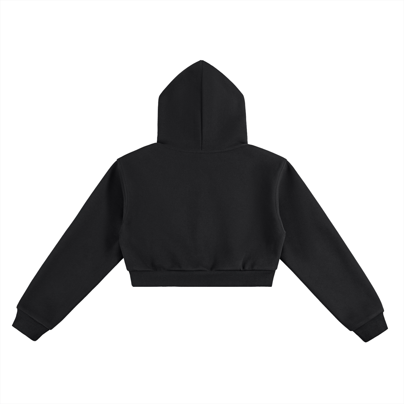Balenciaga x ARK Cropped Hoodie