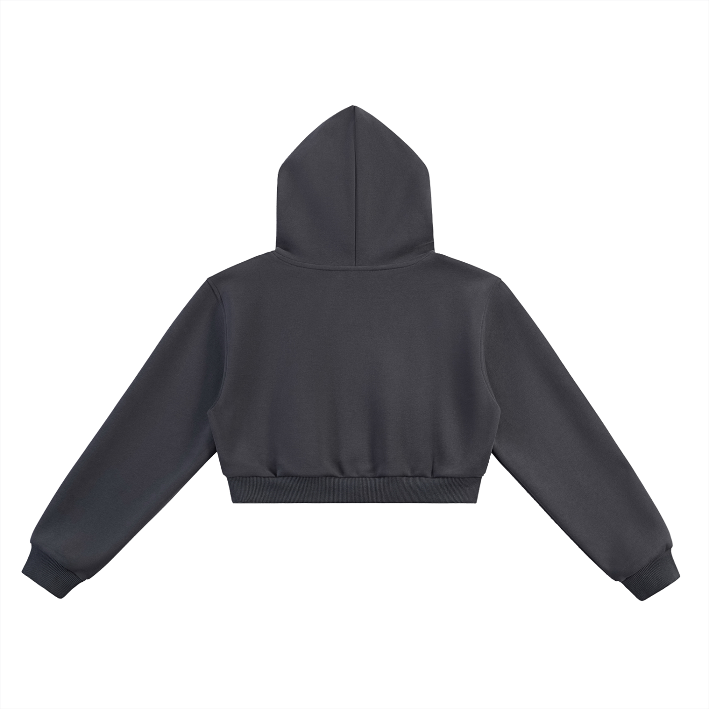 Balenciaga x ARK Cropped Hoodie