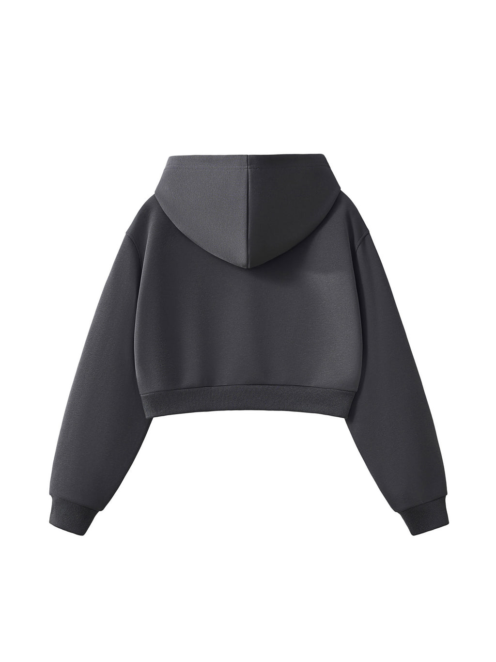 Balenciaga x ARK Cropped Hoodie